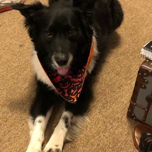 Meet your Posher, Rochelle